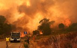 Cháy rừng diễn biến phức tạp tại nhiều nước trên thế giới 